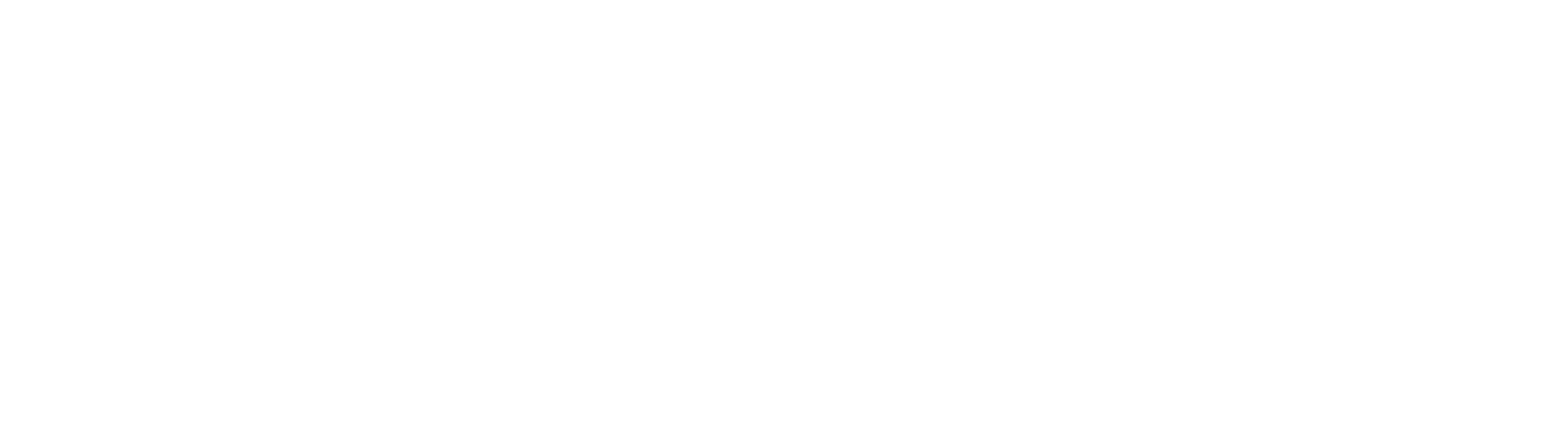 Festival delle lettere